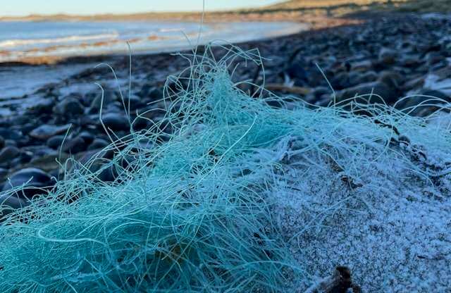Monofilament net