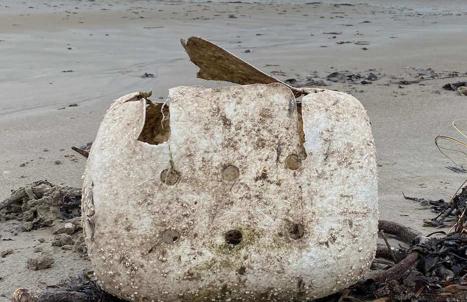 Whelk pots